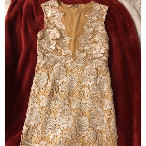 Forever 21 White Floral Lace Dress - Picture 2 of 3